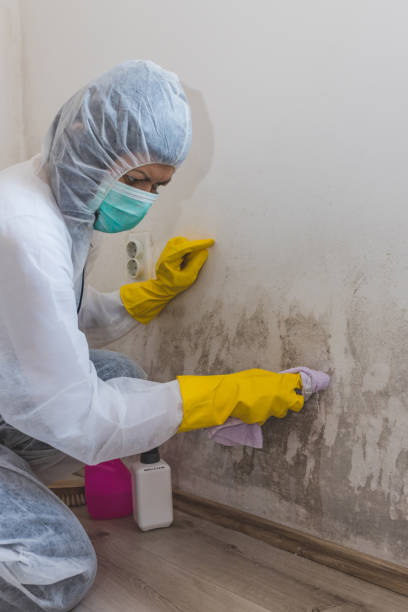 Best Mold Prevention Services  in Deschutes River Woods, OR