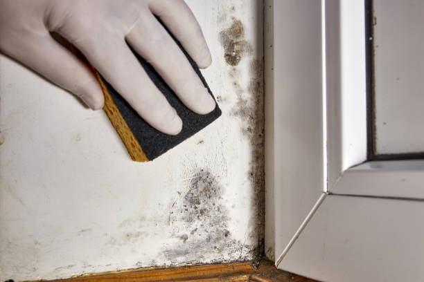 Best Air Quality Testing for Mold Spores  in Deschutes River Woods, OR